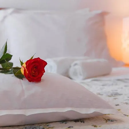 아파트 프로 파트리아 *