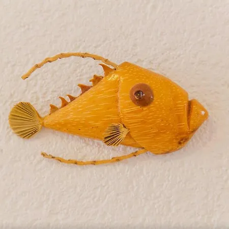 프로 파트리아 *